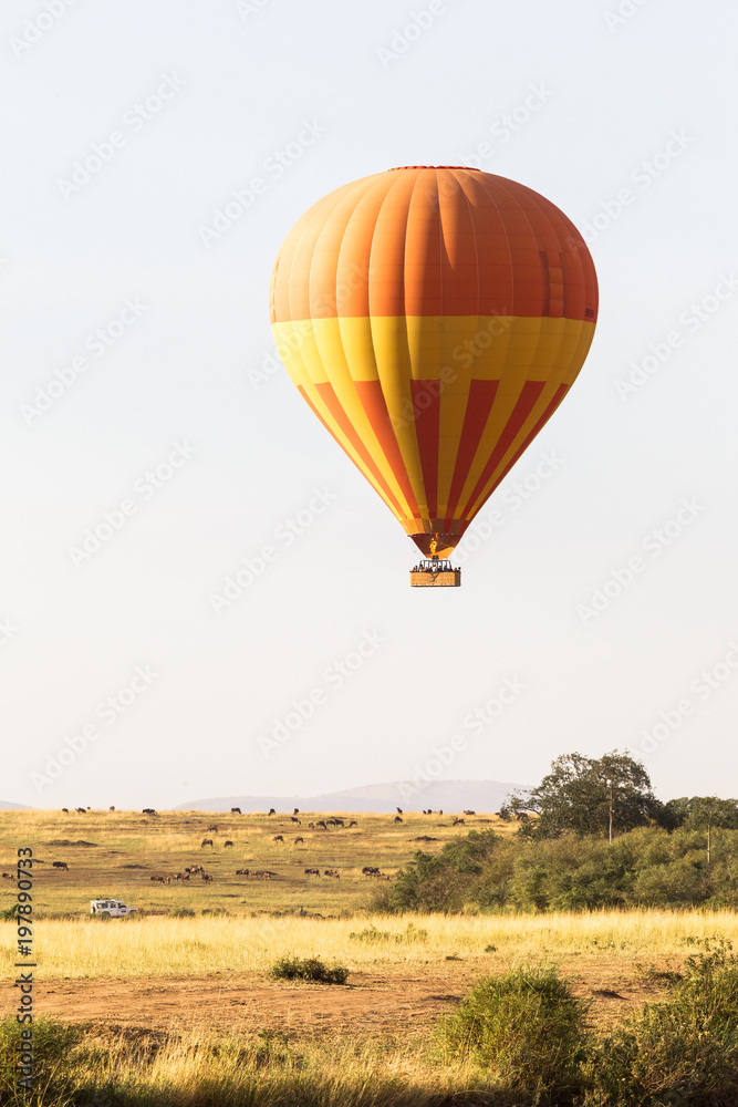 In a balloon over the great plain  of Masai Mara. Kenya