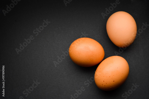 Chicken egg on a dark background.