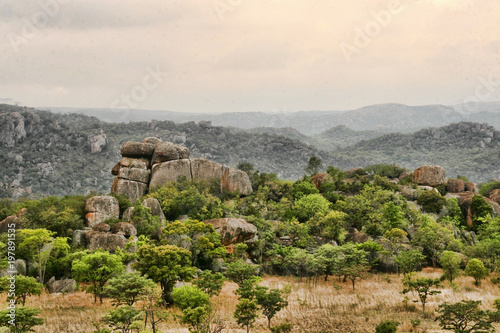 Very special vegetation on the rocks of the Matopos National Park, Zimbabwe photo