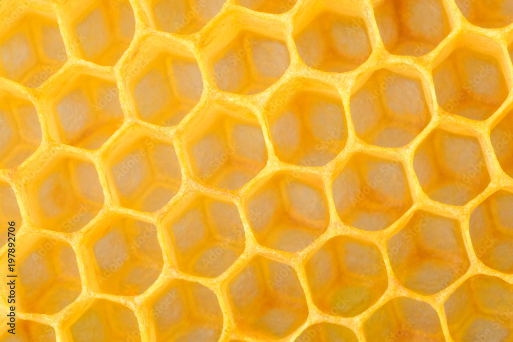 Honeycomb macro as a background. Beekeeping products. Apitherapy.