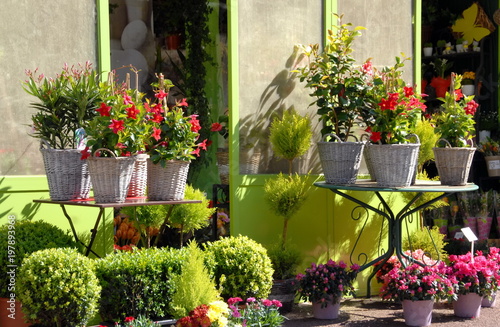 Fototapeta Naklejka Na Ścianę i Meble -  composition florale colorée devant un magasin et une porte jaune