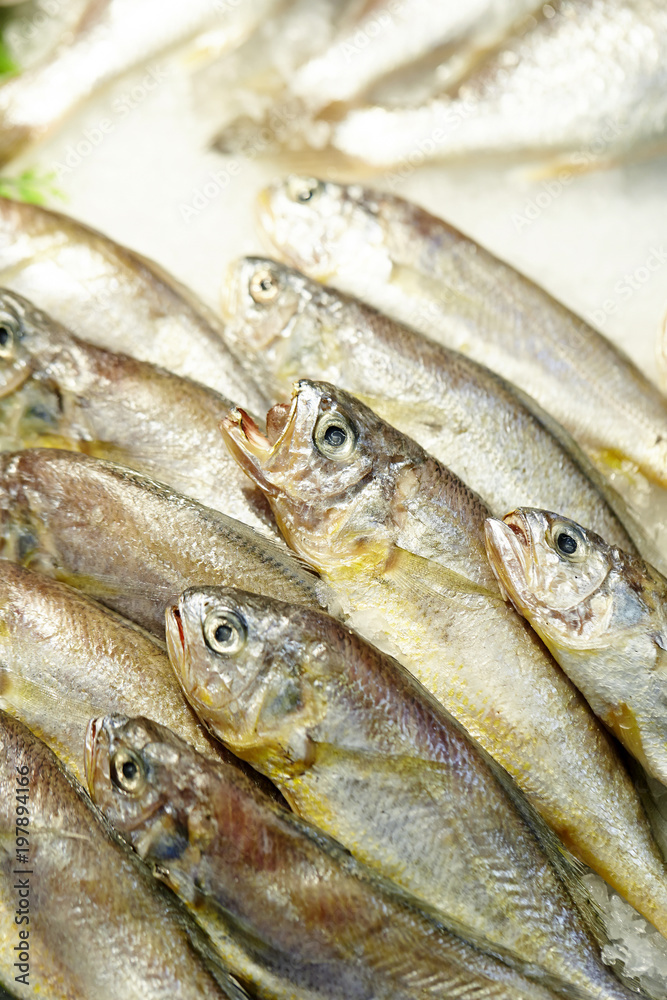 Fresh fish Fresh fish