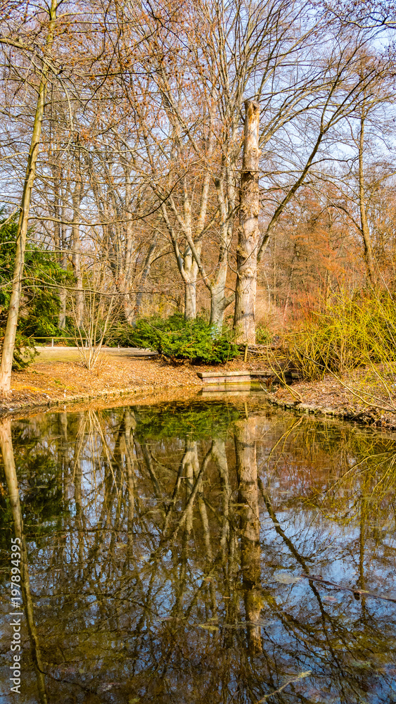Obraz premium Park Lake