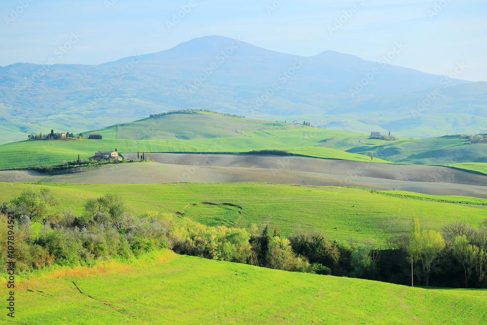 Rolling hills to the old town of Pienza with green grassy meadows on the hillside under sunny sky ~ Beautiful spring scenery of idyllic Tuscany countryside in Val d'Orcia, Pienza, Italy