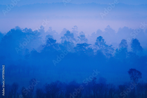 Beautiful forest landscape of foggy sunrise in Thung salaeng Luang National Park  Nong Mae na 