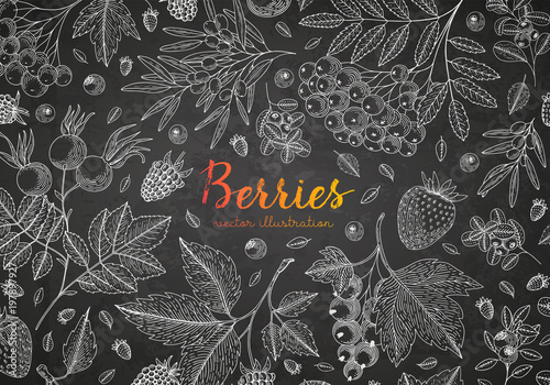 Vector illustration frame with currant, cranberry, bluberry, cherry, raspberry, strawberry and etc. Healthy food design template with berries on chalkboard. Great for design menu, recipes, poster.