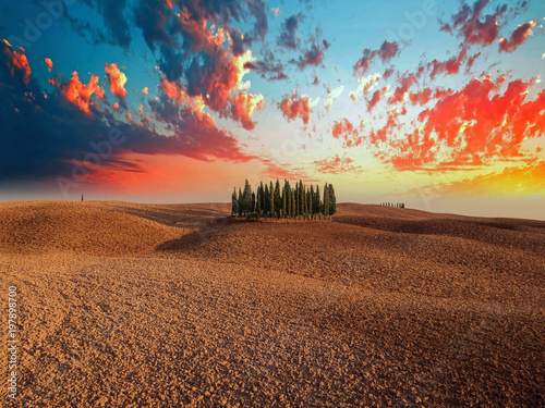 Toscana d'Autore, immagini e panorami da ricordare - Cipressi photo