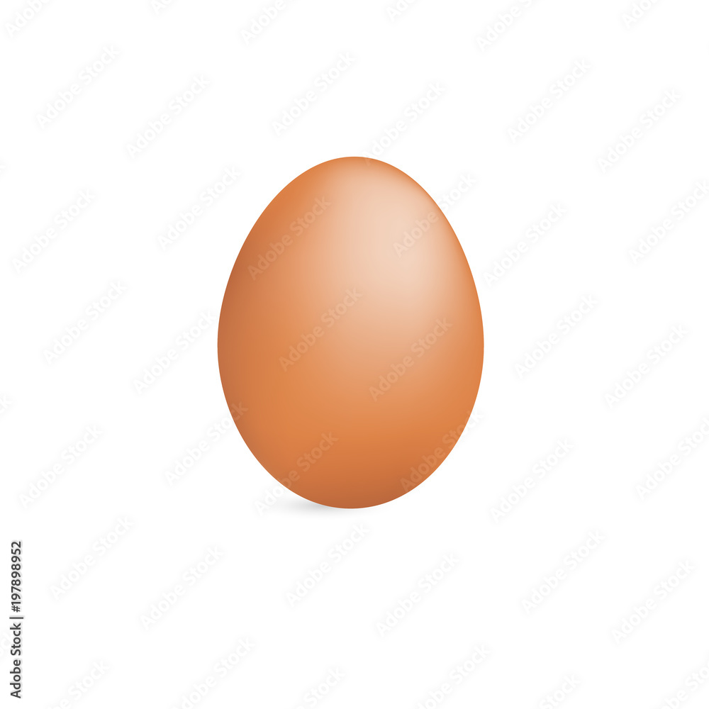 Realistic brown eggs on white background vector Realistic brown eggs on white background vector