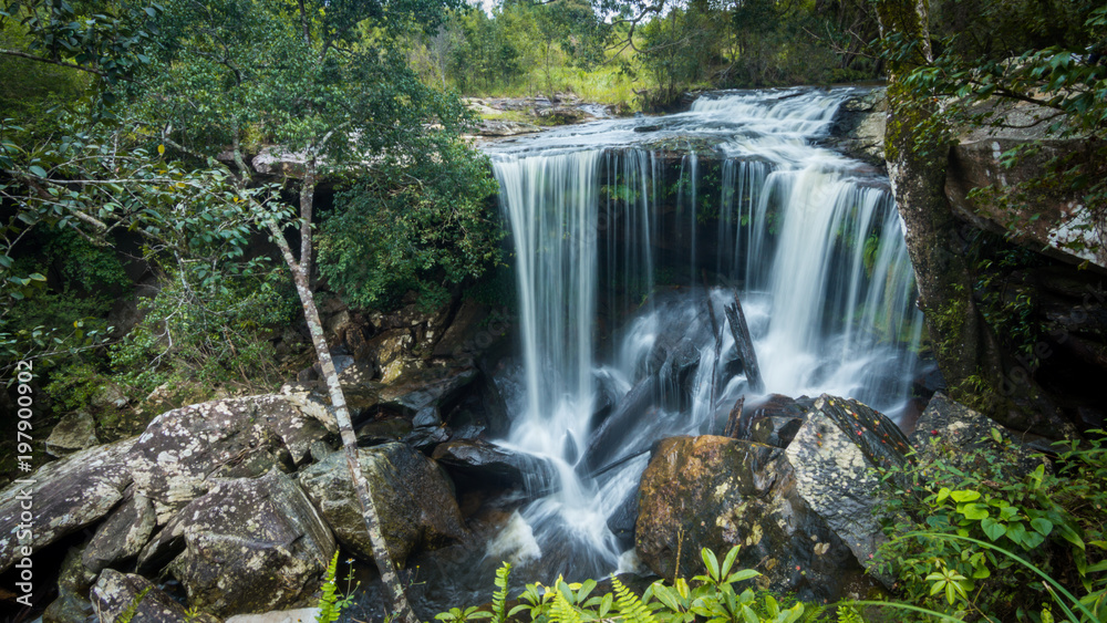 Obraz premium PHU KRA DUENG NATIONAL PARK, LEOI / THAILAND - OCTOBER 14, 2017 : Deep forest waterfall in national park in rainy. Close up landscape. Long exposure photography.