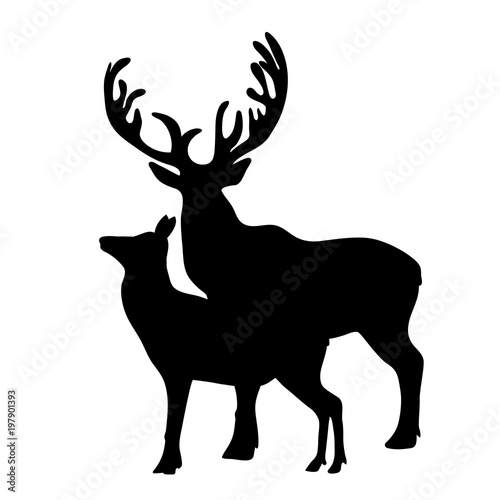 Vector silhouette of deer and hind on white background.
