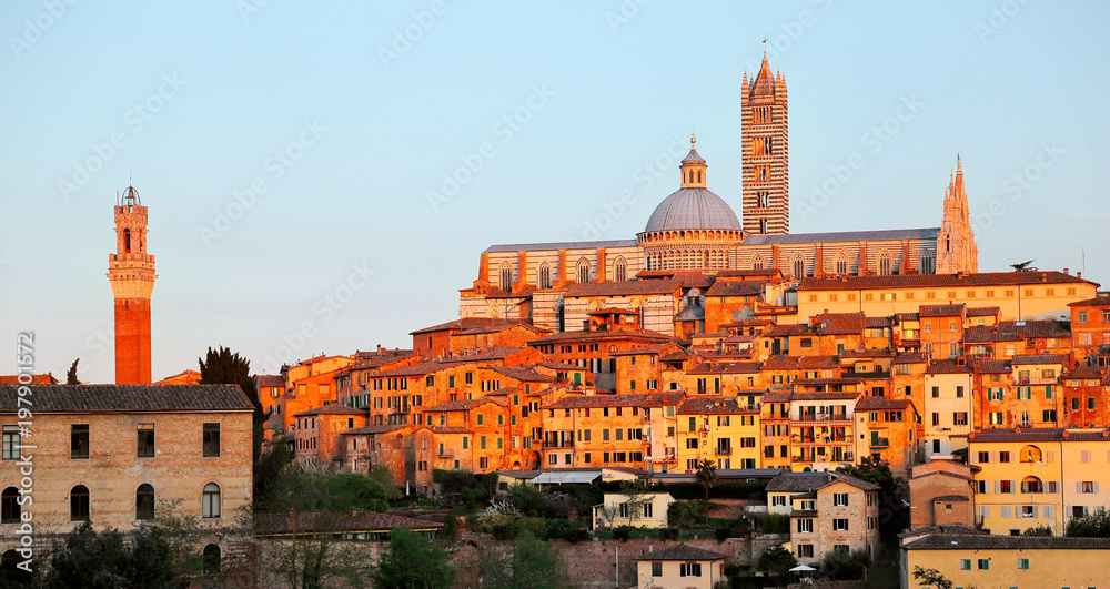 Scenery of Siena at sunset, a beautiful medieval town on a hilltop in Tuscany Italy, with view of architectural landmarks, Mangia Tower, Duomo Dome & Bell Tower bathed in warm, golden sunlight Scenery of Siena at sunset, a beautiful medieval town on a hilltop in Tuscany Italy, with view of architectural landmarks, Mangia Tower, Duomo Dome & Bell Tower bathed in warm, golden sunlight