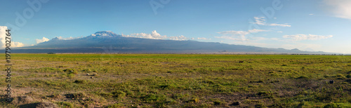 Fototapeta Naklejka Na Ścianę i Meble -  High resolution panorama of Amboseli national park with mount Kilimanjaro and small animals in the background.