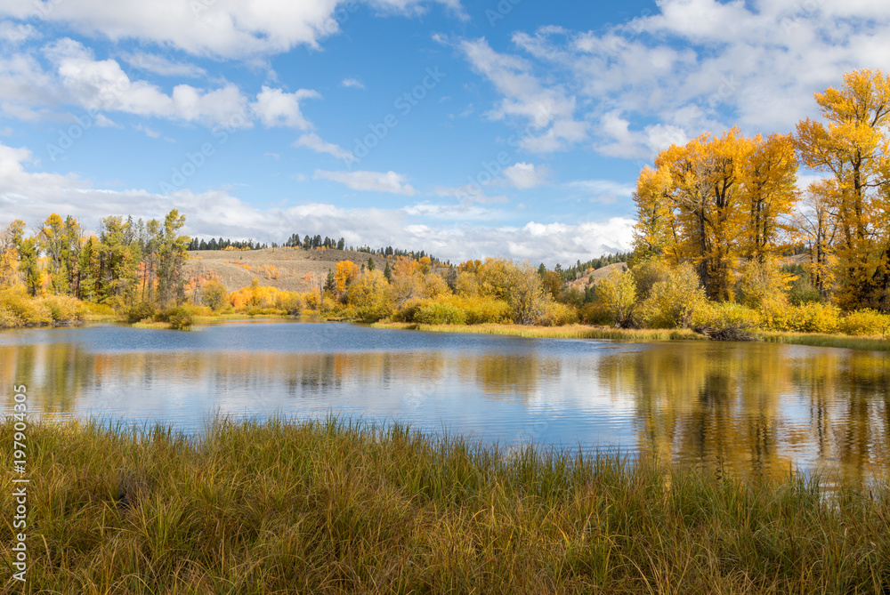 Scenic Autumn Landscape Reflection in Wyoming Scenic Autumn Landscape Reflection in Wyoming
