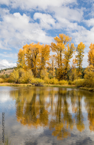 Scenic Autumn Landscape Reflection in Wyoming