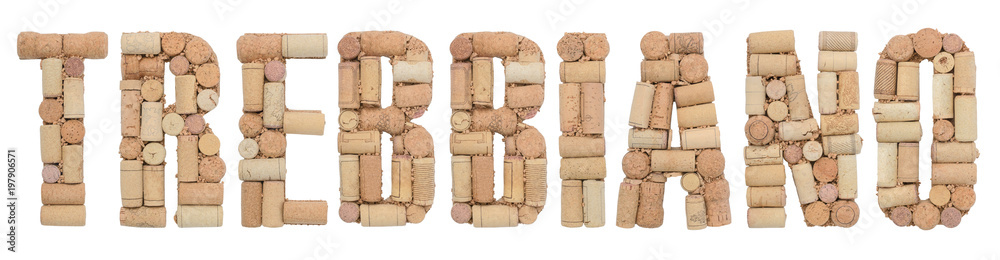 Grape variety Trebbiano made of wine corks Isolated on white background
