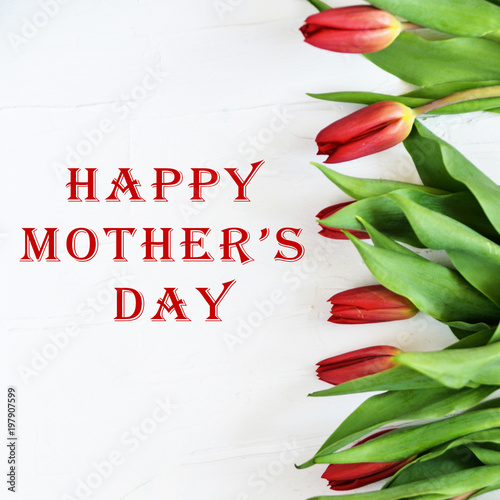 Floral background, greeting card, harvesting, mocap for greetings for mother's day, international women's day: multi-colored tulips on a light background, copyspace inscription: "Happy mothers day"