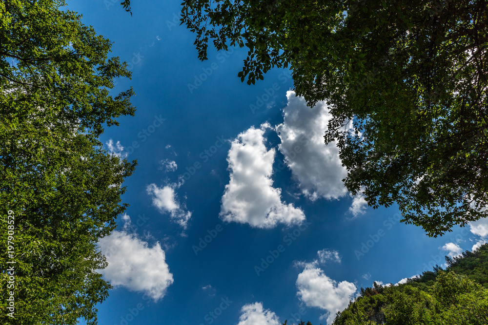 Obraz premium Sky, clouds and trees