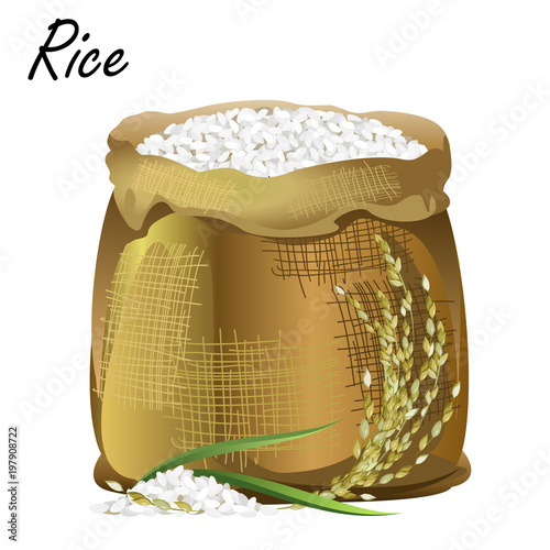 Sack of rice. Hand drawn realistic vector illustration of jute sack with rice and panicle on white background.