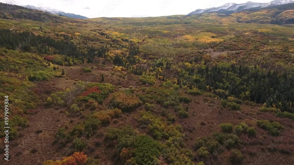 flying to huge fall colors aspen trees aerial, drone, 4k, rocky mountains, amazing, autumn, colorful, colors, fall, fiery, forest, green, landscape, leaves, orange, red, trees, aspen, yellow, flying to huge fall colors aspen trees aerial, drone, 4k, rocky mountains, amazing, autumn, colorful, colors, fall, fiery, forest, green, landscape, leaves, orange, red, trees, aspen, yellow,