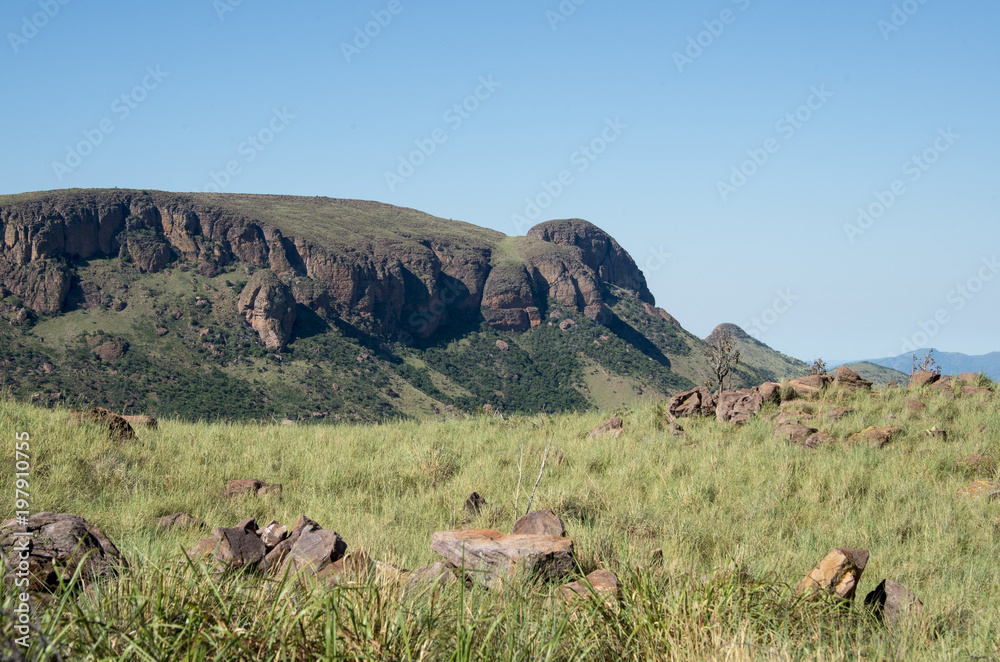 Naklejka premium Parc national de Marakele, Afrique du Sud