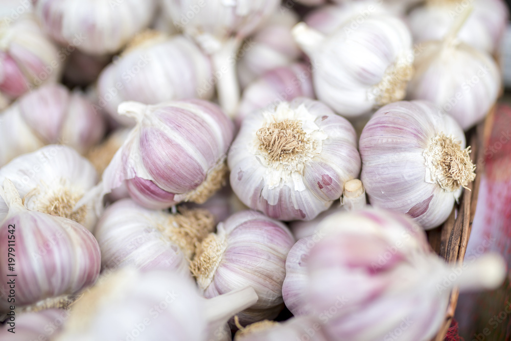 Fresh and organic garlic cloves close up on a farmers market stall in the UK Fresh and organic garlic cloves close up on a farmers market stall in the UK