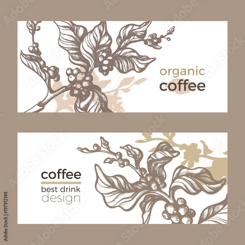 Vector sketch of coffee branch. Template