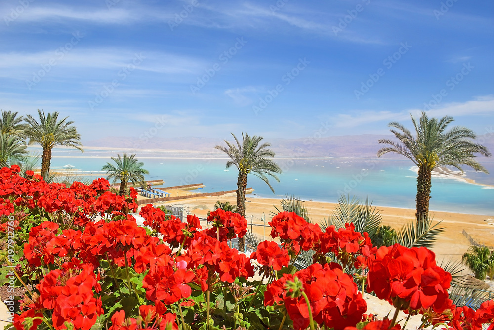 beach at the Dead Sea, israeli shore