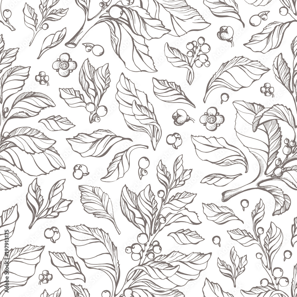 Vector pattern of hand drawn mate branch