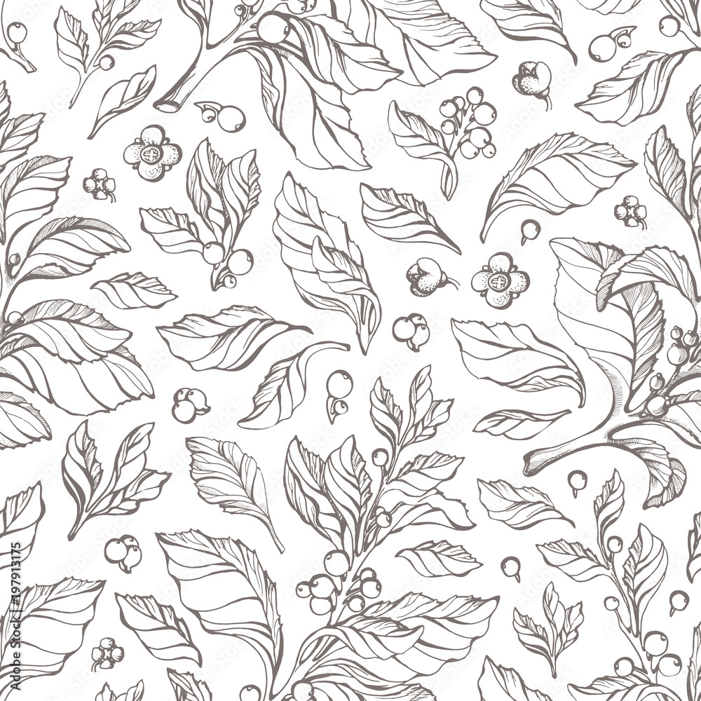 Fototapeta premium Vector pattern of hand drawn mate branch