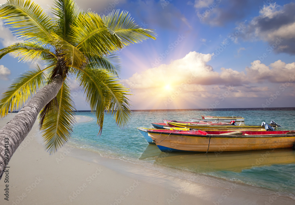 Maldives. Bright wooden boats in the sea and the palm tree has bent over water Maldives. Bright wooden boats in the sea and the palm tree has bent over water