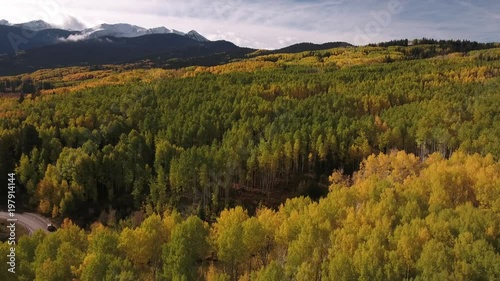 multi color aspen grove fly over aerial, drone, 4k, rocky mountains, amazing, autumn, colorful, colors, fall, fiery, forest, green, landscape, leaves, orange, red, trees, aspen, yellow, colorado