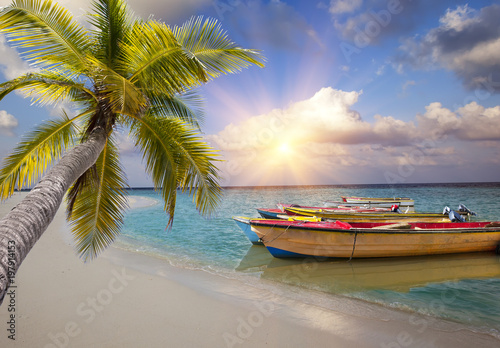 Maldives. Bright wooden boats in the sea and the palm tree has bent over water