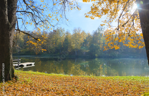 Serene sunny autumn landscape with pond in the park.Trees with yellow foliage.Moscow region,Russia.