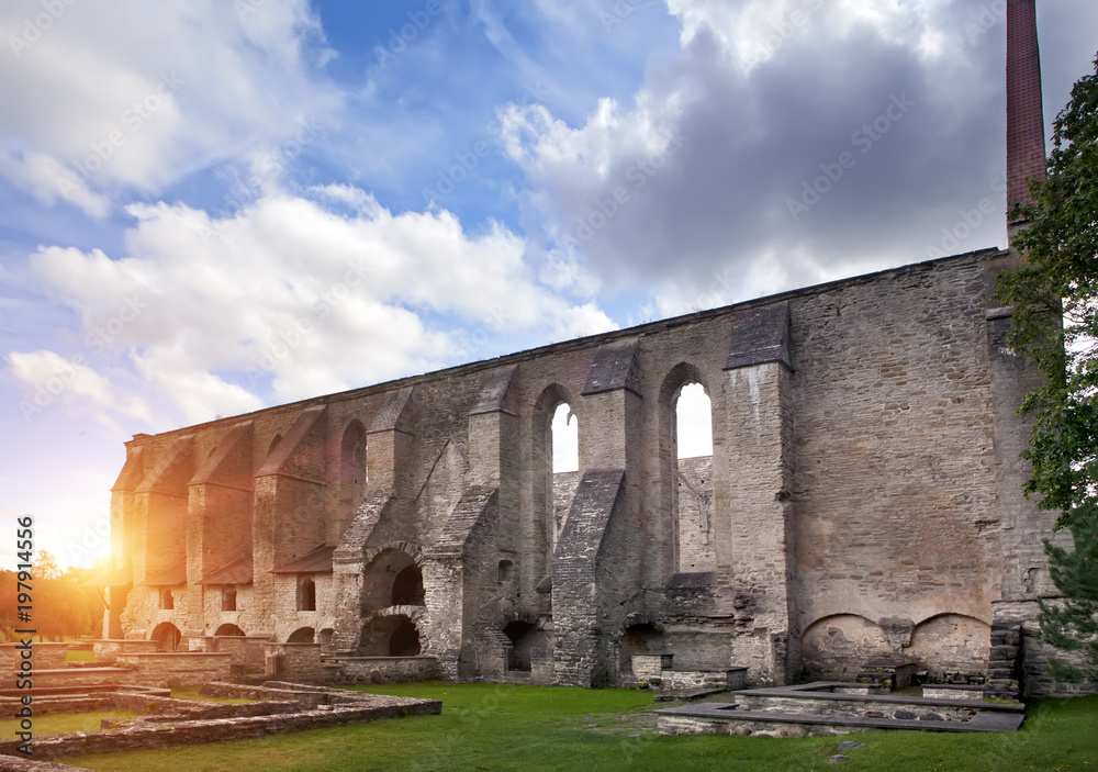 Ancient ruined St. Brigitta convent ( 1436 year)  in Pirita region, Tallinn, Estonia