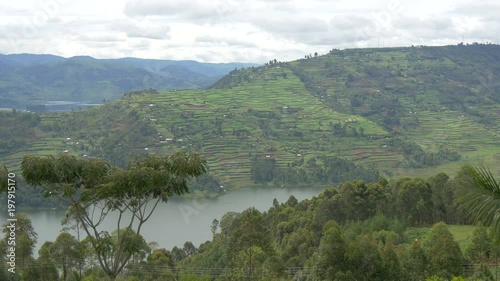 Wallpaper Mural Hills near Bunyonyi Lake in Uganda  Torontodigital.ca