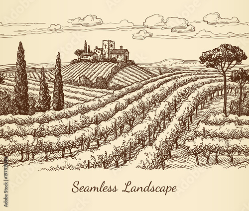 Vineyard seamless landscape.
