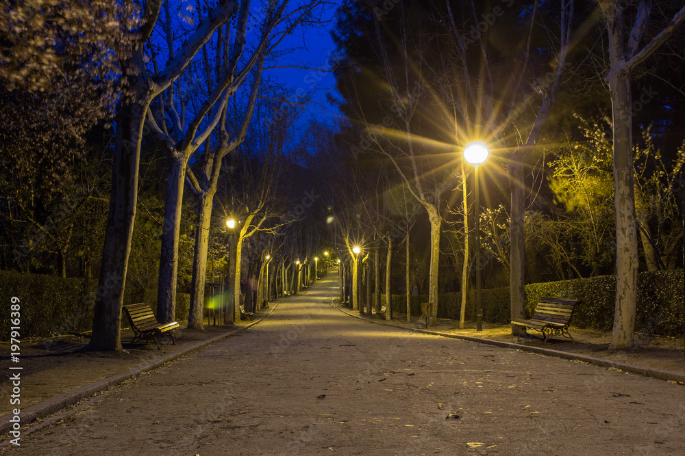 park path in the blue hour of the morning