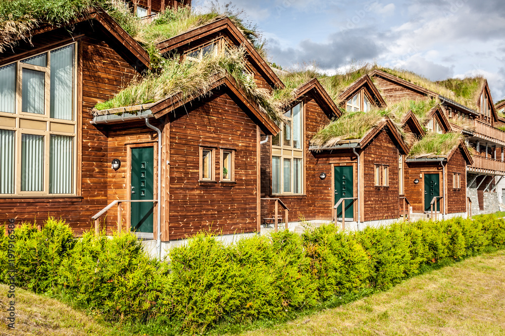 Typical norwegian house with grass on the roof