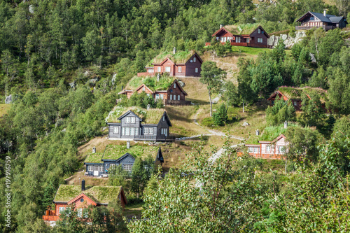 Εκτύπωση καμβά Typical norwegian house with grass on the roof