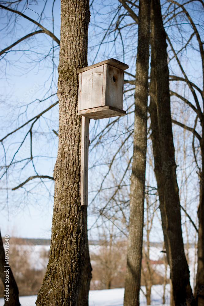 Birdhouse on a tree in the spring forest. Russia. Udmurtia. March.
