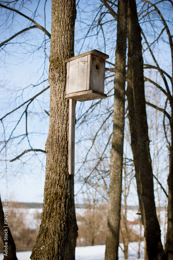 Birdhouse on a tree in the spring forest. Russia. Udmurtia. March. Birdhouse on a tree in the spring forest. Russia. Udmurtia. March.