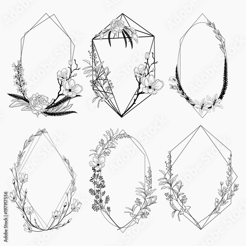 Vector Floristic Frames with Geometric Lines Design photo