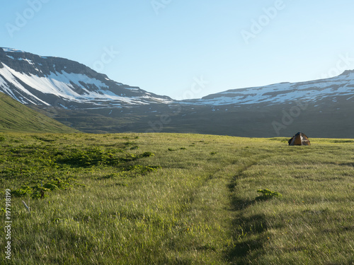 camping on a meadow