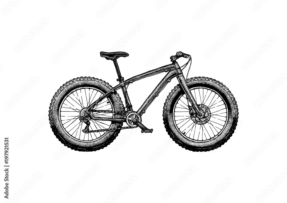 illustration of fat bike
