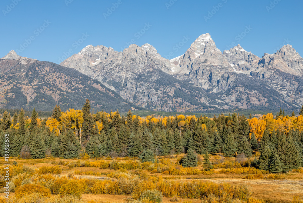 Scenic Landscape in the Tetons in Autumn