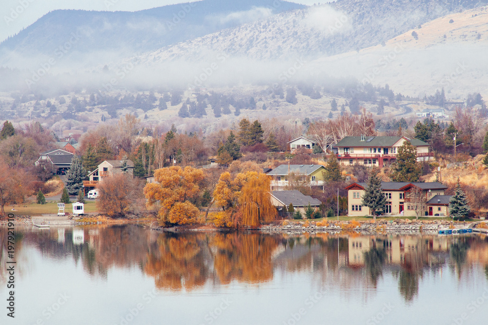Fototapeta premium Reflected willows