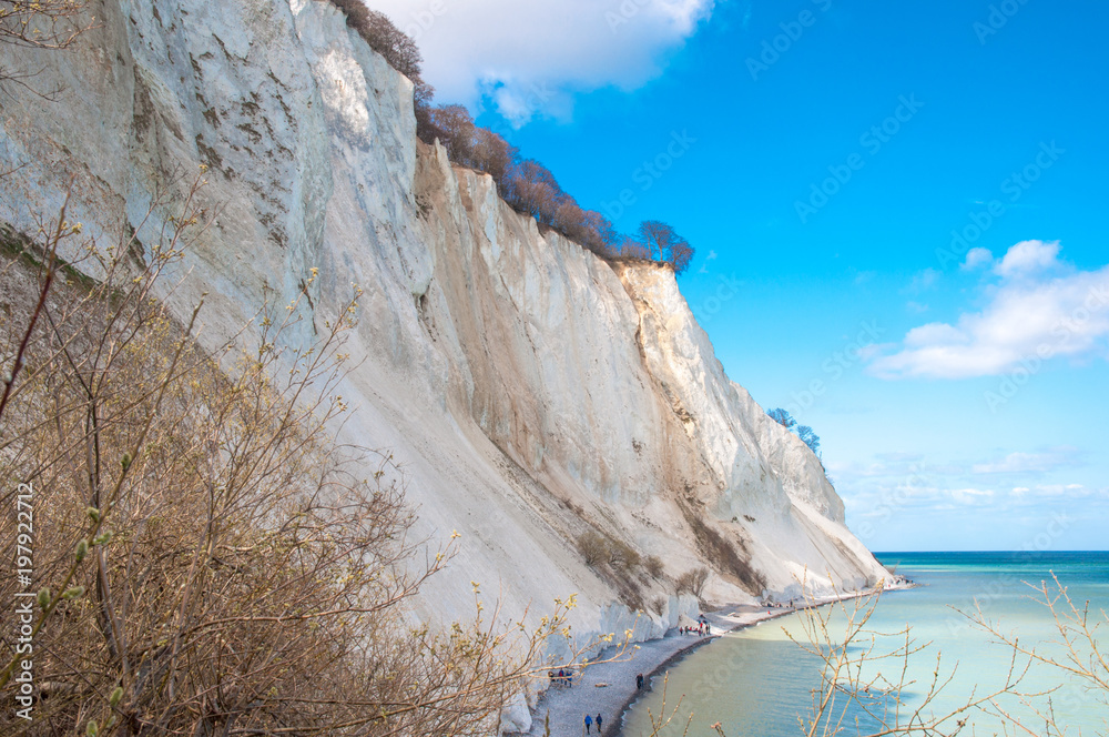 Fototapeta premium Mons Klint cliff in Denmark