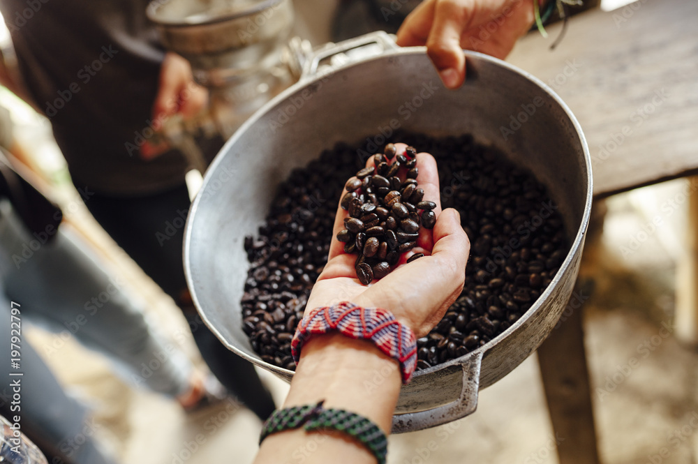 Woman holding roasted coffee beans from a pot Woman holding roasted coffee beans from a pot