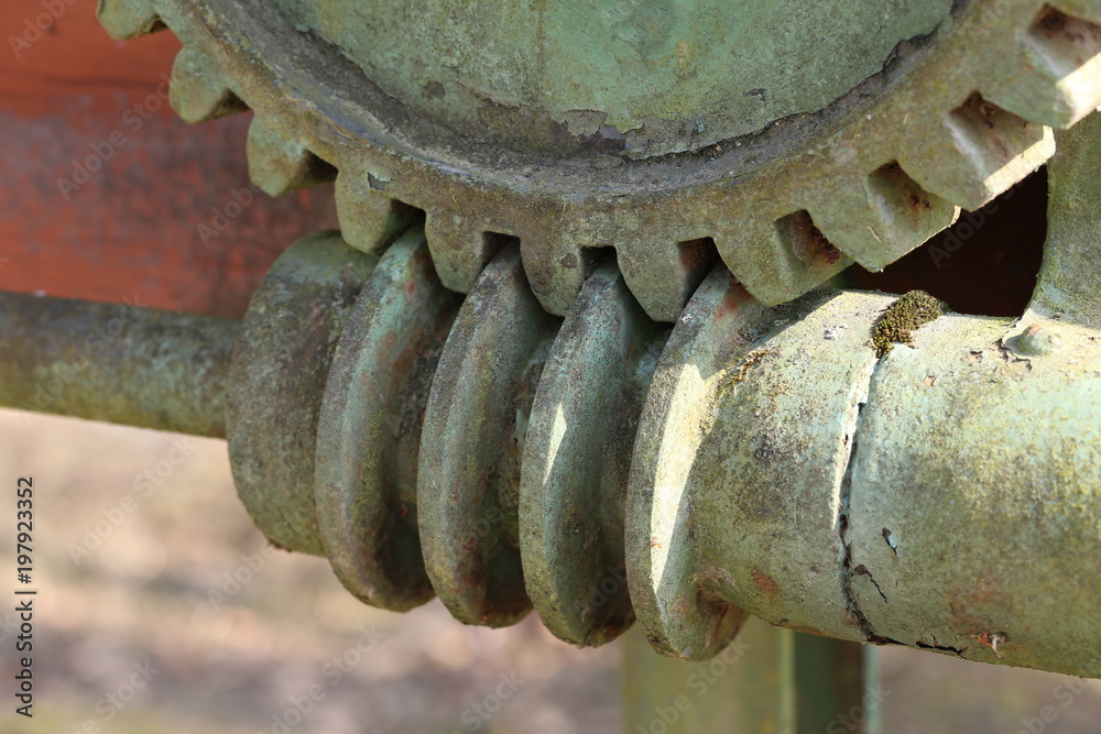 Worm-gear / Mechanical parts: gear, worm . Worm-gear / Mechanical parts: gear, worm .