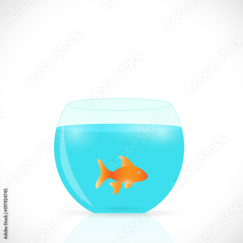 Goldfish Bowl Illustration